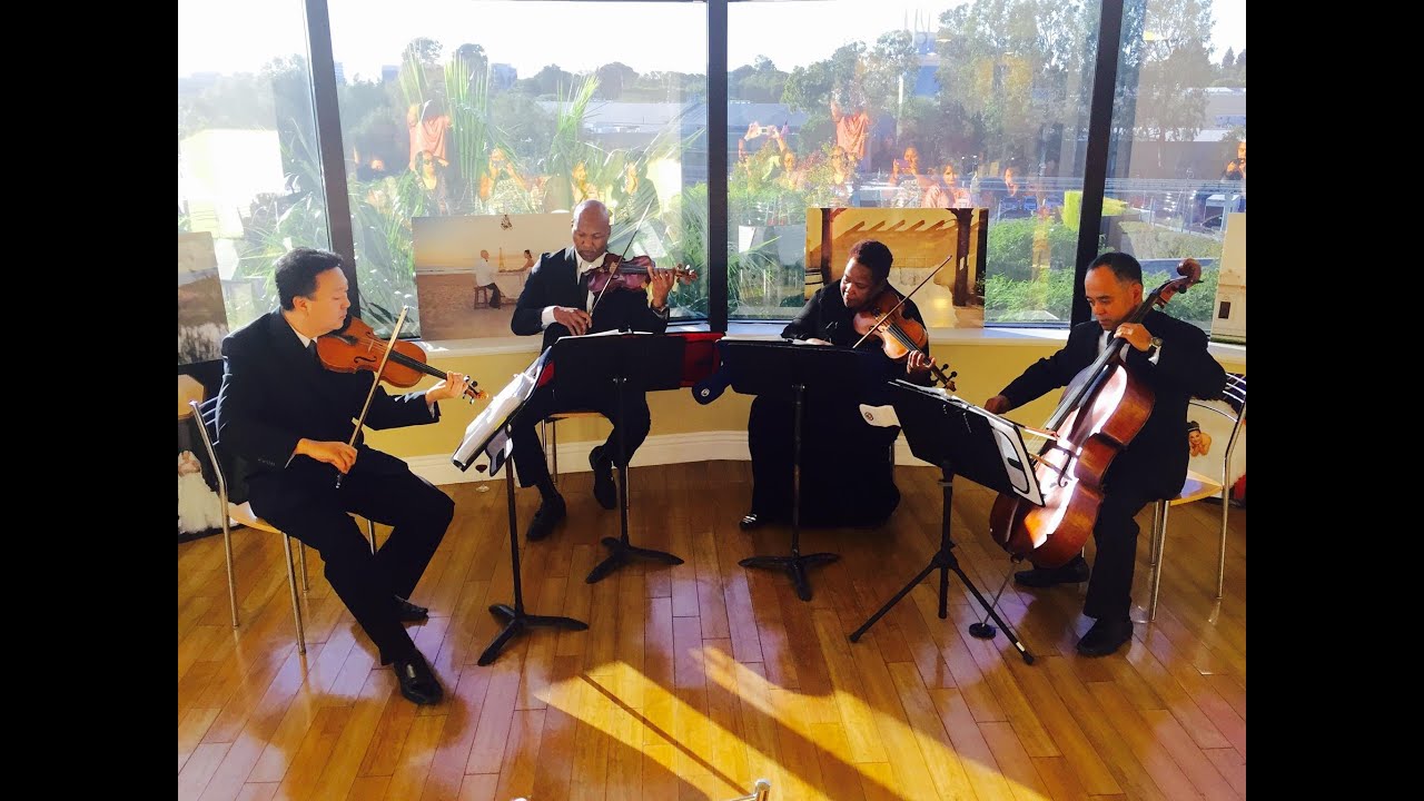 The Ocdamia Strings Performance - Medley