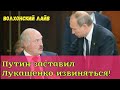 Путин заставил Лукашенко извиняться.