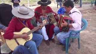 Video thumbnail of "Así tocan los campeños | Aldo Córdoba en MiraFlore Chaco"
