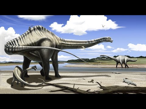 Video: ¿Cuál es más grande diplodocus o brachiosaurus?