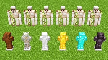 Which Armor Will Protect you from Iron Golem ?