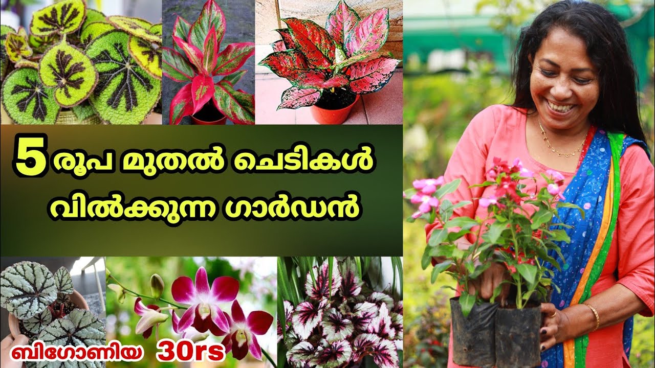 5രൂപ മുതൽ അലങ്കാര ചെടികൾ || പത്തനംത്തിട്ടയിലെ ഒരു അടിപൊളി ഗാർഡൻ || Garden Visit || Low price