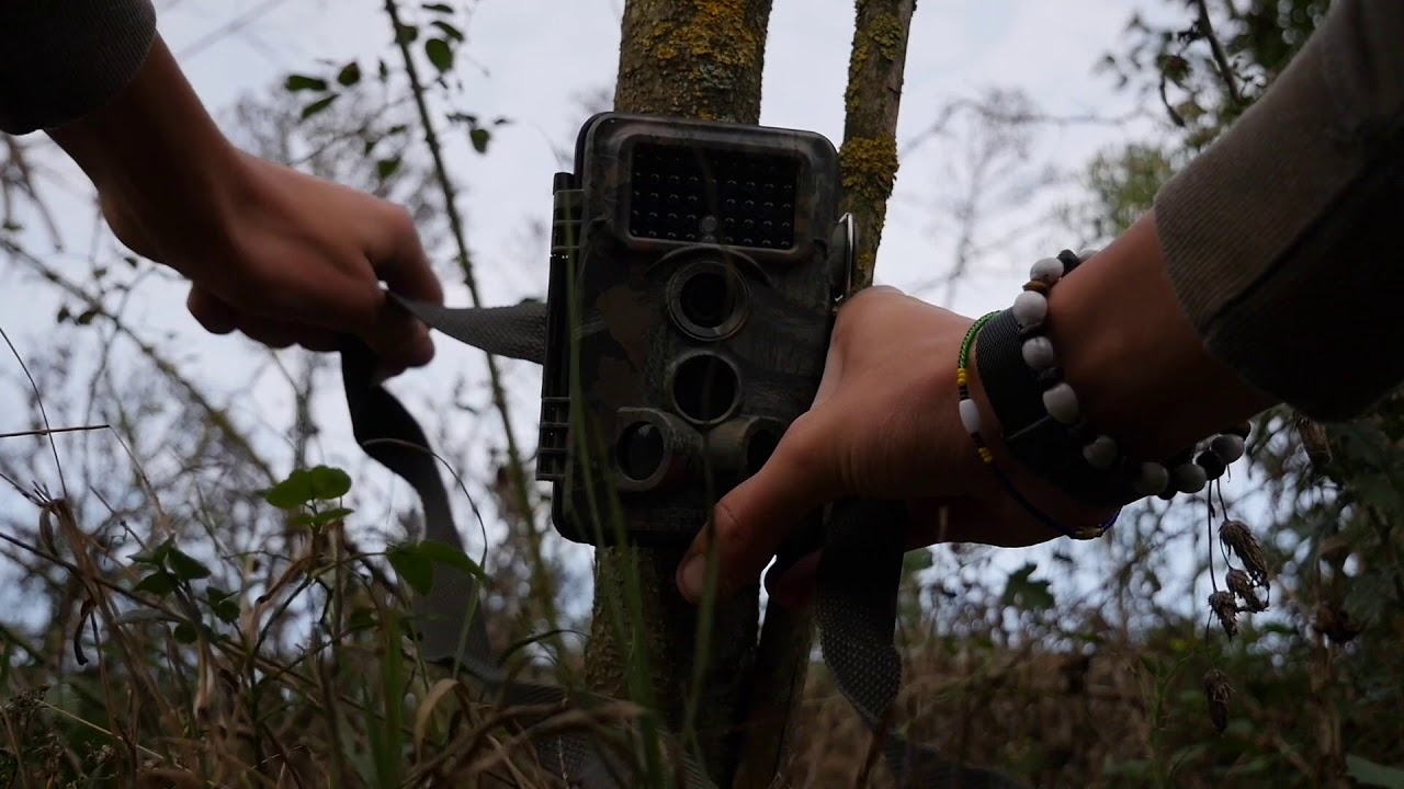 Apeman H68 Trail Camera Field Test || Simone Giraldi