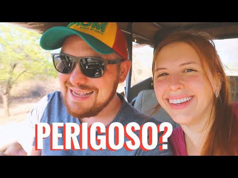 Vídeo: Este é O Melhor Lugar Para Um Safári Na África Do Sul