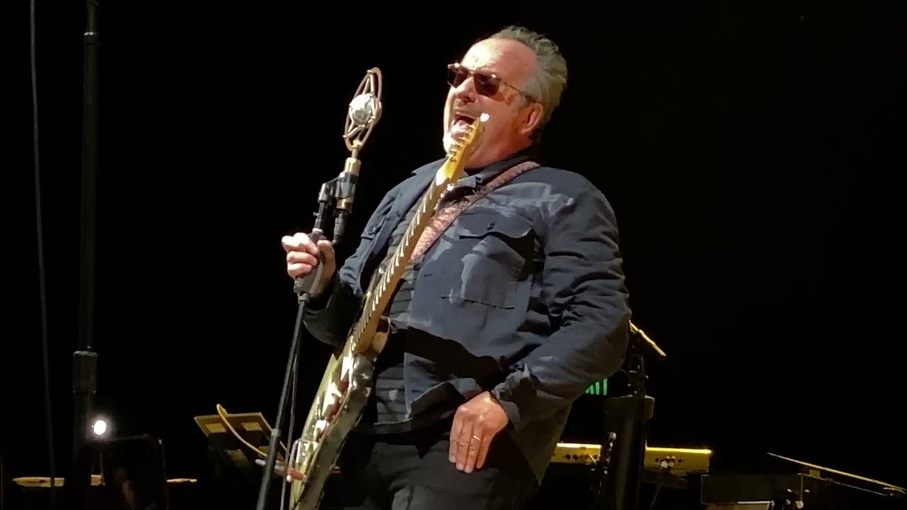 Elvis costello everyday i write the book why can t i give you