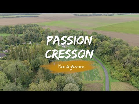 encart vidéo