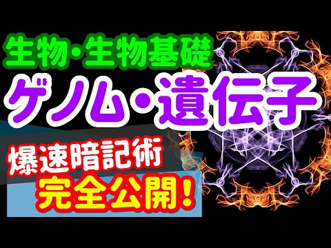 【生物基礎 47】遺伝子【ゲノム・遺伝子の違い】を宇宙一わかりやすく