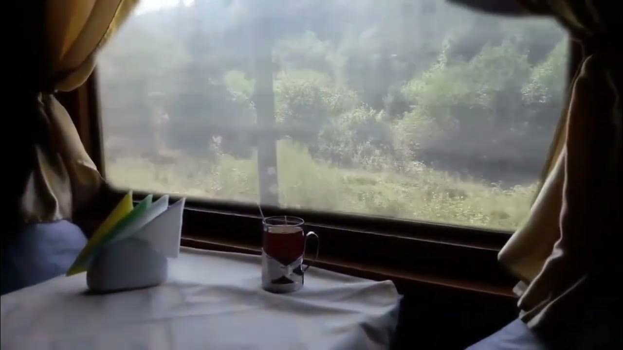 Звуки поезда час. Ежик едет в поезде. Шум поезда для сна. Звуки поезда для сна. Имитация шума в поезде.