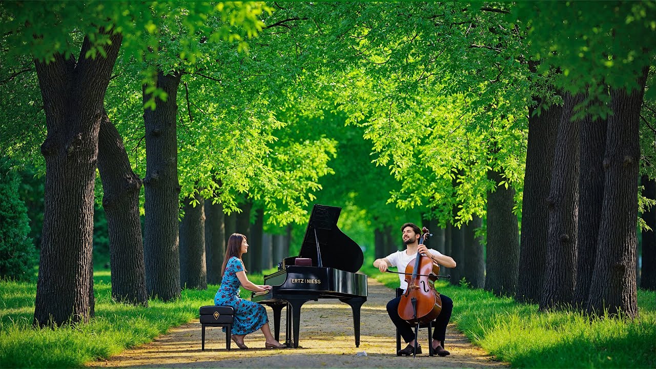 Прекрасная классическая музыка для снятия стресса. Моцарт, Бетховен, Шопен, Бах, Шуберт, Чайковский.