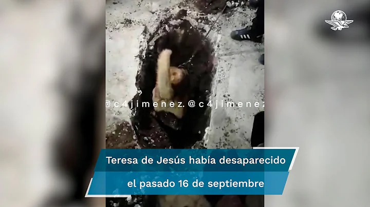Perro polica localiza el cuerpo de una mujer que f...