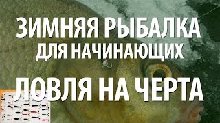 МОРМЫШКА ЧЕРТИК - РЫБАЛКА для НАЧИНАЮЩИХ ЗИМОЙ