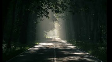 وَأَوۡحَىٰ رَبُّكَ إِلَى ٱلنَّحۡلِ ..| تلاوة ممتعة. رعد الكردي ❤❤