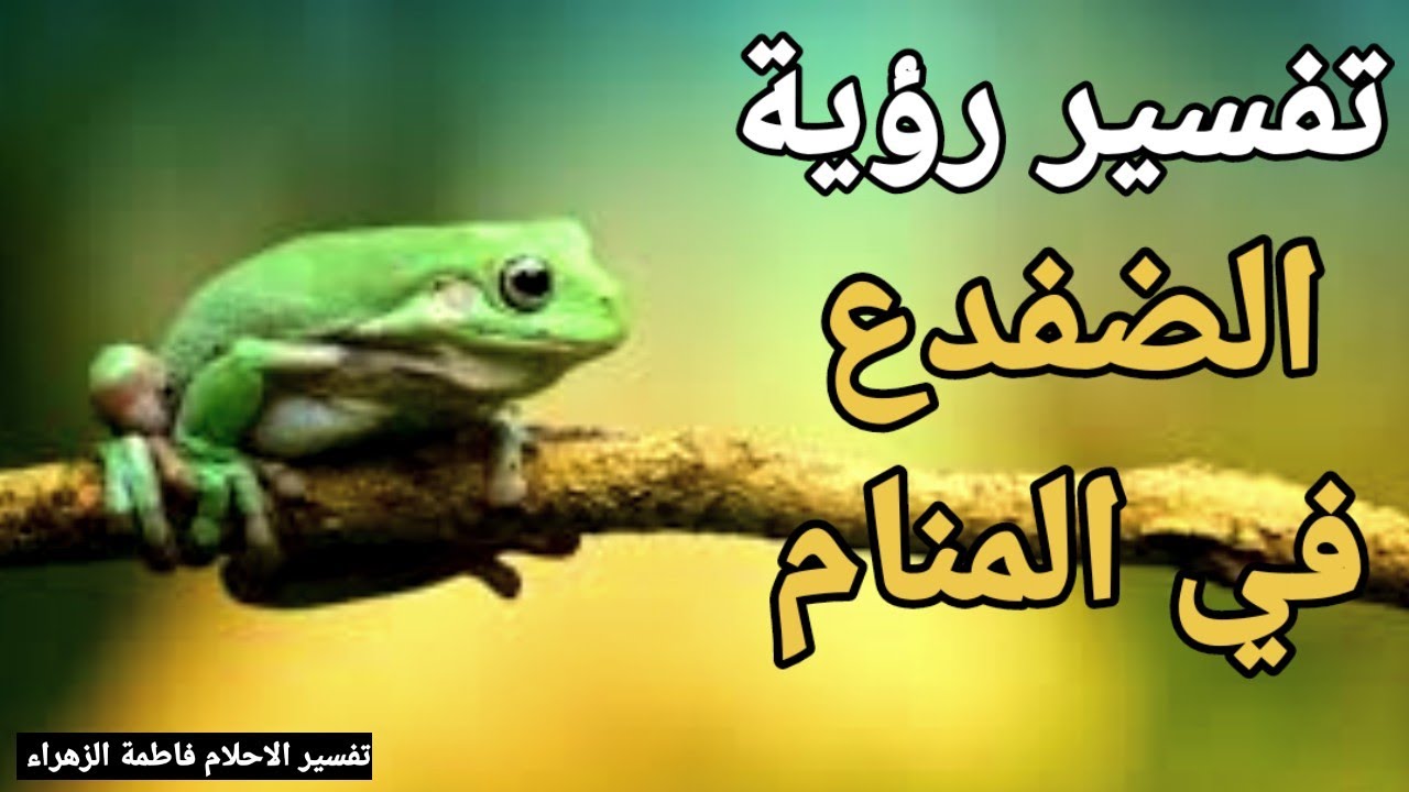 تفسير حلم رؤية الضفدع في المنام للعزباء للمتزوجة للرجل للحامل للمطلقة |تفسير الاحلام فاطمة الزهراء