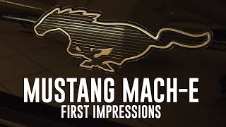Polestar 2 driver First Impressions of Ford Mustang Mach-E