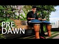 2 handpans music  pre dawn  yoga  meditation  chill  ravvast by terrace garden handpan india