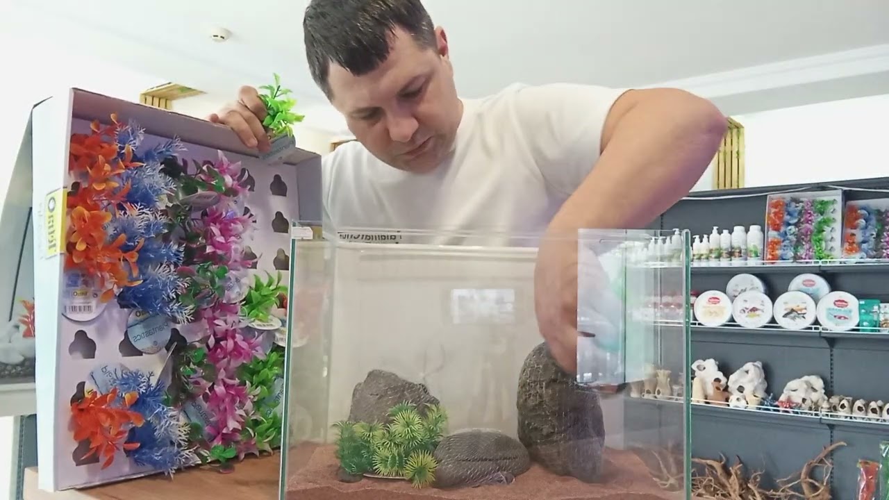 Швидкий запуск акваріума з прісною водою