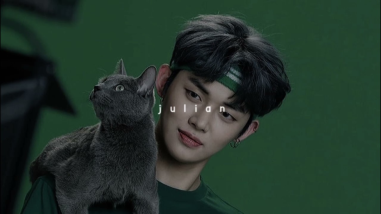 txt - cat & dog (speed up ver)