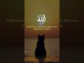 Allah Hu Akbar