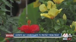 JD Rudd explains the cold May weather