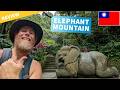 Elephant Mountain Taipei Review and Guide — Things to Do - Hike, Steps, Trail Map and 101 View