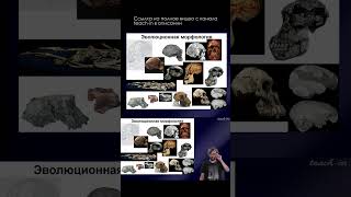 Эволюционная морфология \ Станислав Дробышевский