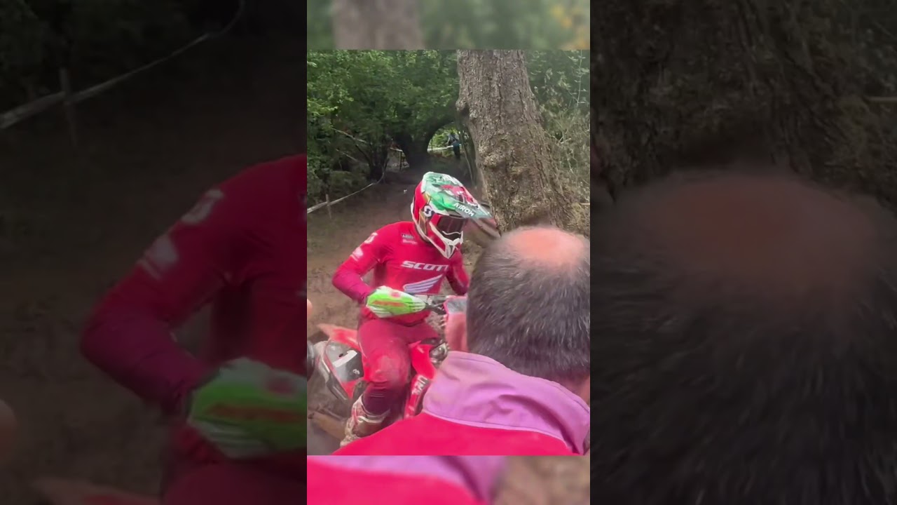 Steve Holcombe Entertaining The Fans 