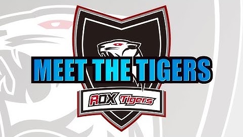 What happens when you meet ROX Tigers at Dynamic Queue