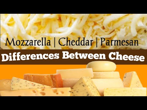 Keju Cheddar Dan Keju Mozarella Difermentasikan Oleh Bakteri Yang Berbeda