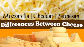 Differences Between Cheese | EduCare- Natural Cure&Tips #mozerella  #cheddarcheese  #parmesancheese