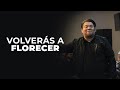 "VOLVERÁS A FLORECER" //Abraham Pérez// Predicas Cristiana