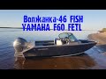 Волжанка - 46 FISH YAMAHA F60 краткий обзор