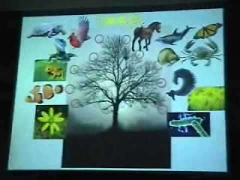 Transitional Fossils in Evolution pt. 1 of 4 - YouTube
