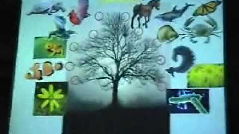 Transitional Fossils in Evolution pt. 1 of 4