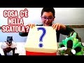 CHE COSA C'È NELLA SCATOLA? - WHAT'S IN THE BOX? - Leonardo D