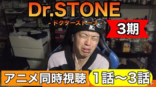 Dr.STONE NEW WORLD 同時視聴