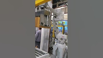 Box Palletizing Schunk-ABB