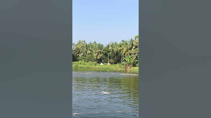 🔥🔥చెరువులో చేపలు చూడండి🐠🔥🔥#fish #shots #youtubeshorts