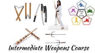 Intermediate Weapons Course Bundle Trailer