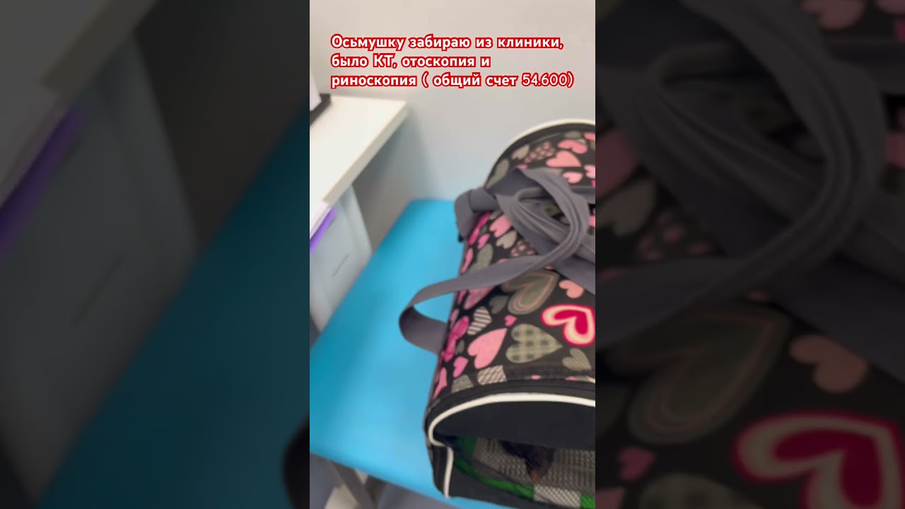 Кошечку забираю практически ночью