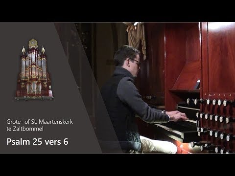 Psalm 25 vers 6 - Grote- of St. Maartenskerk, Zaltbommel