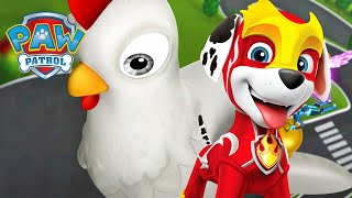 pups save giant chicken paw patrol cartoons kids