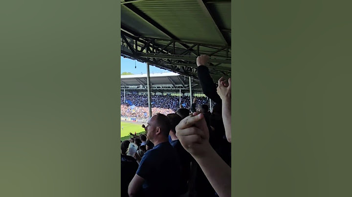 SV Waldhof Mannheim 1-0 SG Dynamo dresden ⚽️🔥