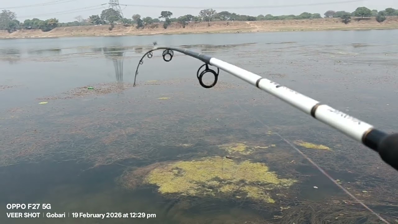 Snacks head fishing spot 