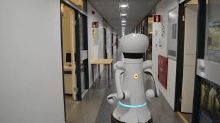 Hallucinating robots: Inferring obstacle distances from partial laser measurements