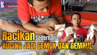 CARA MEMBUAT  KUCING BISA GEMUK,GEMBUL DAN SEHATGALERY KUCING