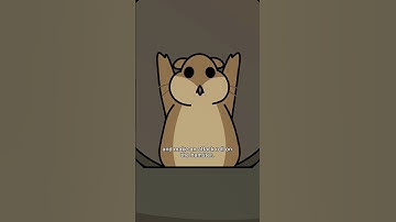 The Most Evil Hamster #dnd #dungeonsanddragons #ttrpg #stinkydragonpod #hamster