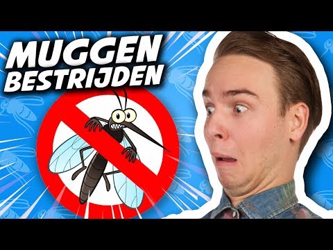 Video: 3 manieren om muggen te bestrijden