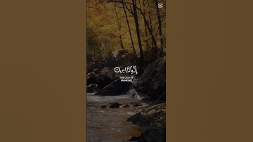 قل اعوذ برب الناس.. تلاوة خاشعة رائعة #القرآن_الكريم #اكسبلور #اكسبلورهاشتاقات #المصحف #القرآن