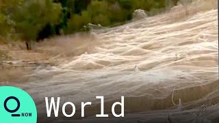 Spiders Spin Giant Sheets of Silk to Survive Australia Floods screenshot 4