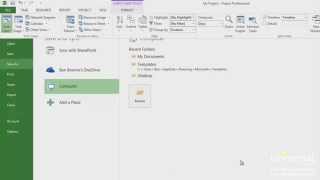 Customizing and Formatting in Microsoft Project 2013 Net Worth